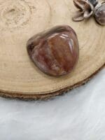 versteend hout handsteen nr. 5-3