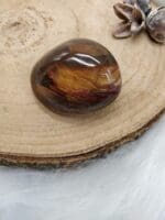 versteend hout handsteen nr. 5