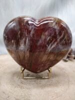 versteend hout hart nr. 1-2