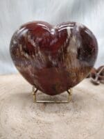 versteend hout hart nr. 1-4
