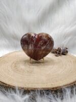 versteend hout hart nr. 1