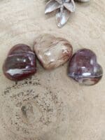 versteend hout kleine hartjes nr. 7-2