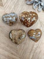 Oceaan jaspis hartjes nr. 2-2