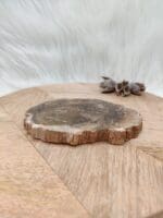 Versteend hout plak nr. 7-3
