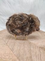 Versteend hout plak nr. 7