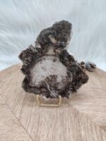 Versteend hout plak nr. 8-
