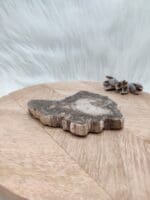 Versteend hout plak nr. 8-4