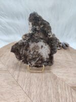 Versteend hout plak nr. 8