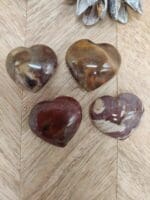 Versteend hout hartjes nr. 9-2