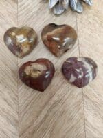 Versteend hout hartjes nr. 9