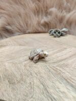 Steatiet schildpad-3