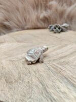 Steatiet schildpad-4