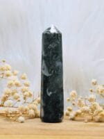 Mosagaat punt nr. 1-4