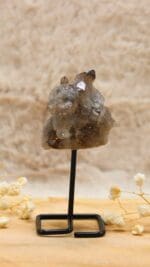 Rookkwarts op standaard nr. 1-3