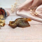 Carneool leguaan nr. 1