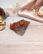 Carneool leguaan nr. 2-2