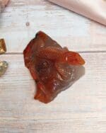 Carneool leguaan nr. 2-5