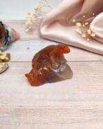 Carneool leguaan nr. 2