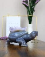 Agaat schildpad nr. 2-3