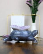 Agaat schildpad nr. 2-4