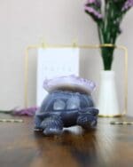 Agaat schildpad nr. 2-5