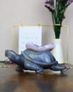 Agaat schildpad nr. 2-6