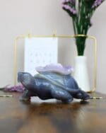 Agaat schildpad nr. 2