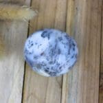 Dendriet opaal handsteen nr. 1