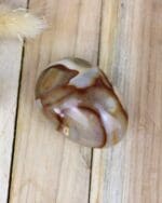 Polychroom jaspis handsteen nr. 2