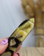 Septarie punt nr. 2-5