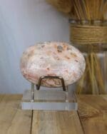 Crazy lace agaat handsteen nr. 7