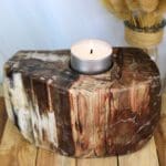 Versteend hout waxinelichthouder nr. 1