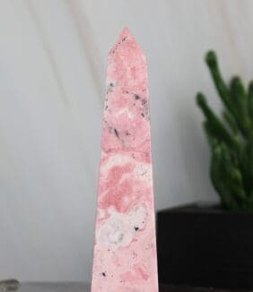 Rhodoniet punt nr. 4-2