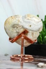 Rose standaard maat S-4