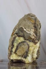 Septarie ruw nr. 1-3