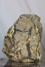 Septarie ruw nr. 1