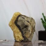 Septarie ruw nr. 3
