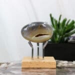 Pinguin agaat handsteen nr. 5-3