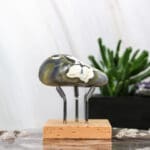 Pinguin agaat handsteen nr. 8-3