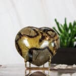 Septarie hart nr. 4