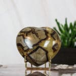 Septarie hart nr. 4-2