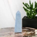 Angeliet punt nr. 1-4