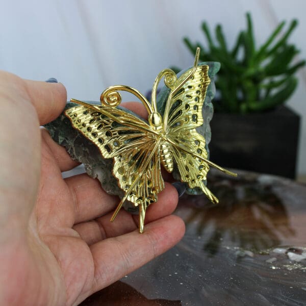 Mosagaat vlinder nr. 1-4