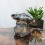 Orgonite olifant nr. 2-3