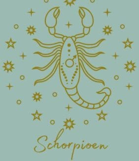 Schorpioen