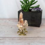 Cactuskwarts cluster nr. 5