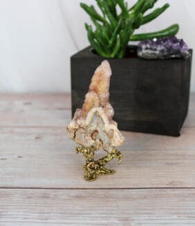 Cactuskwarts cluster nr. 5-2