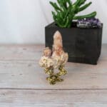 Cactuskwarts cluster nr. 5-4