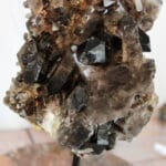 Rookkwarts op standaard nr. 1-6