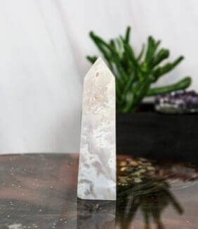 Sneeuw agaat punt nr. 10-2